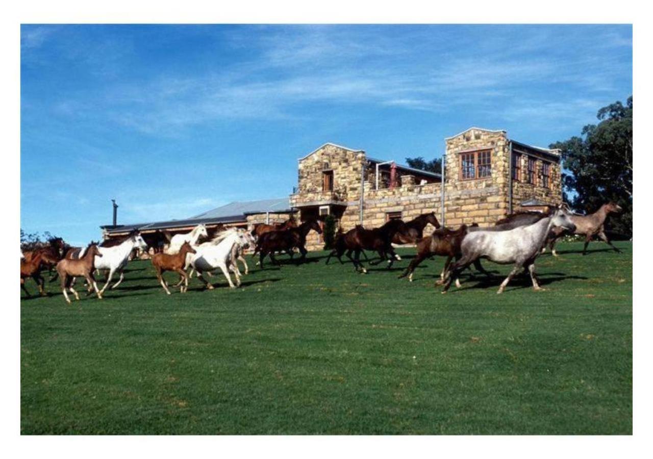 Moolmanshoek Private Game Reserve 푸리즈버그 외부 사진